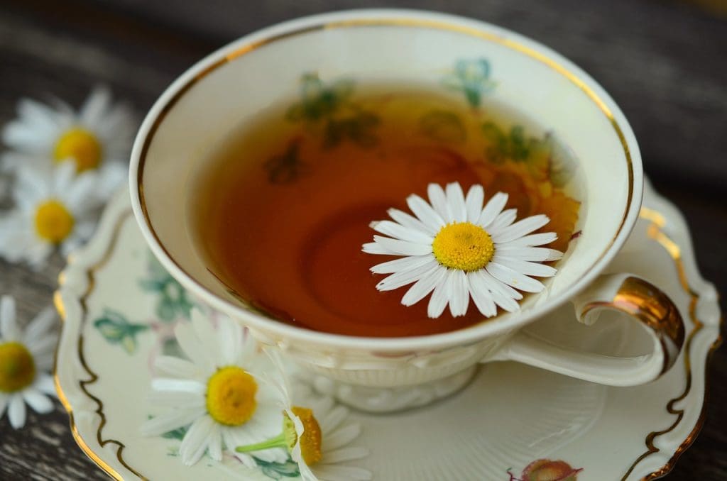 Beginners Guide To Herbal Remedies For Common Conditions