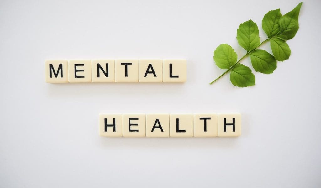 Best Practices For Maintaining A Healthy Diet For Mental Wellness