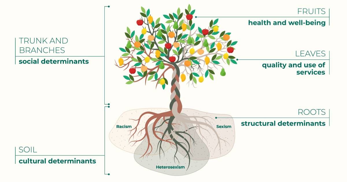 Exploring The Intersection Of Healthcare Policy And Social Justice
