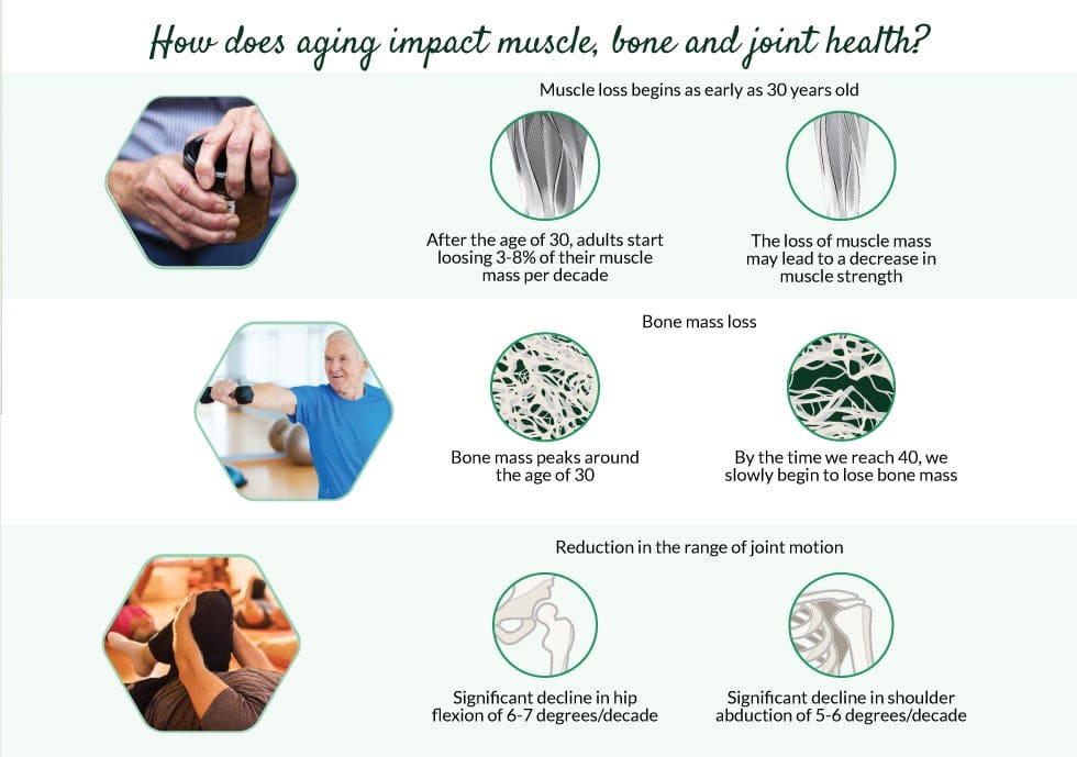 Healthy Aging: Building Strong Bones And Muscles