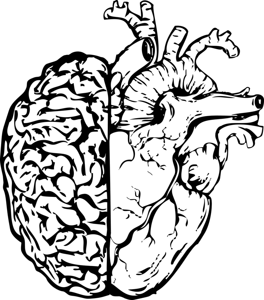 Holistic Healing: Understanding The Mind-Body Connection