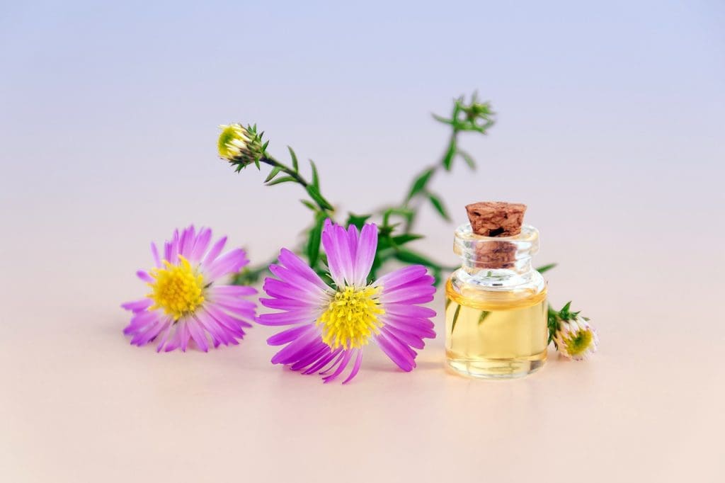 The Power Of Aromatherapy In Holistic Health And Wellness