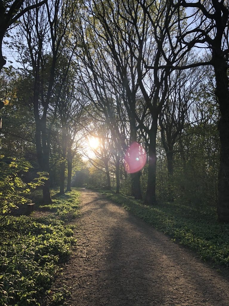 The Role Of Exercise In Mental Health