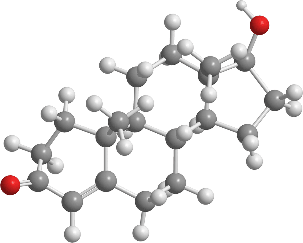 Top Ways To Boost Testosterone Naturally