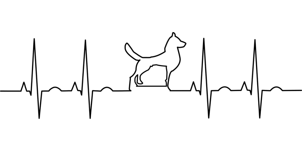 Understanding And Managing Hypertension