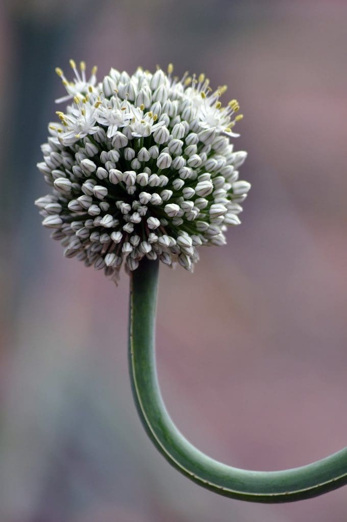 Understanding Hormonal Changes In Aging Women