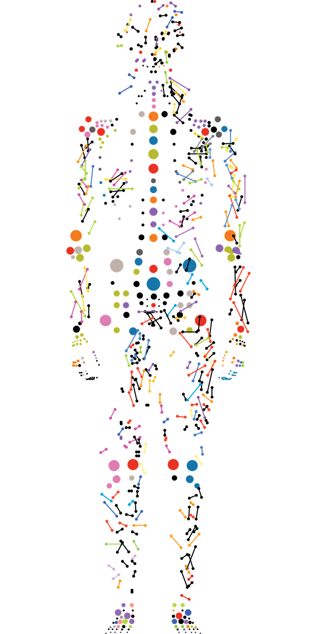 Beginner’s Guide To Integrative Medicine For Women’s Health