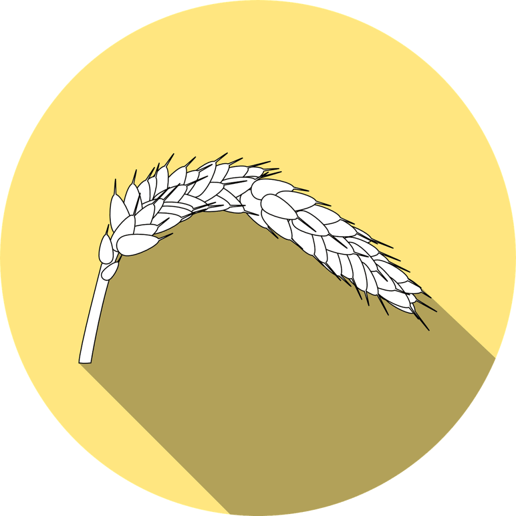 Beginners Guide To Understanding Food Allergies And Intolerances