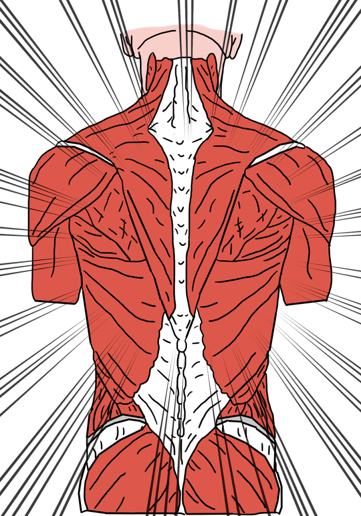 Best Practices For Improving Posture And Reducing Back Pain