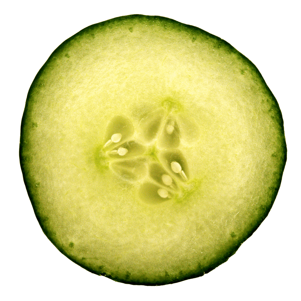 Best Practices For Staying Hydrated Throughout The Day