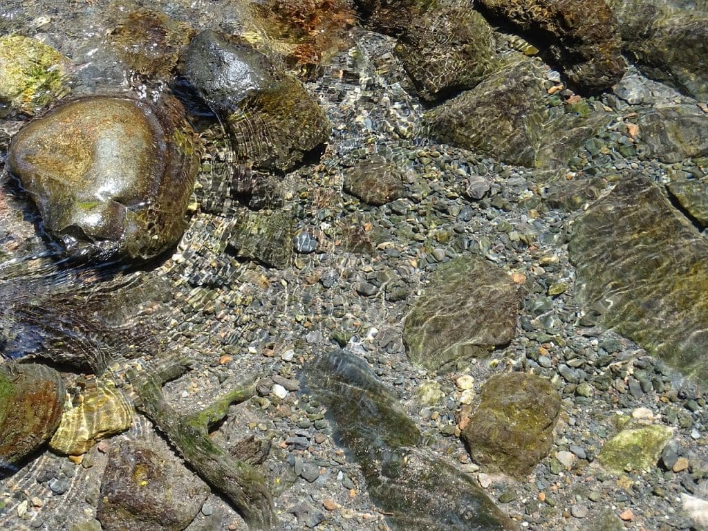 Best Practices For Staying Hydrated Throughout The Day