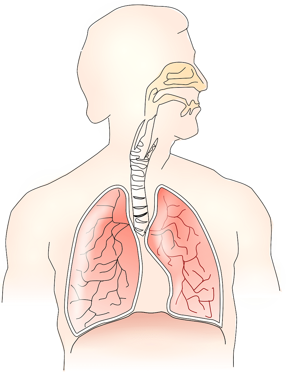 Best Ways To Improve Respiratory Health Naturally