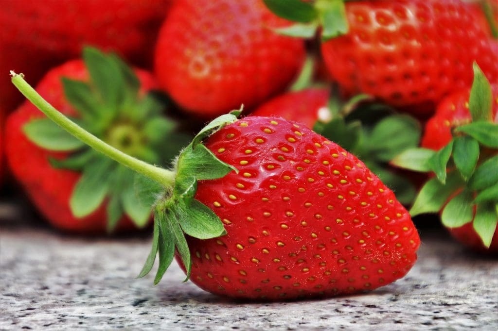 Best Ways To Maintain A Balanced Diet While Dining Out