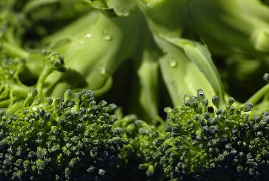 Best Ways To Maintain A Balanced Diet While Dining Out
