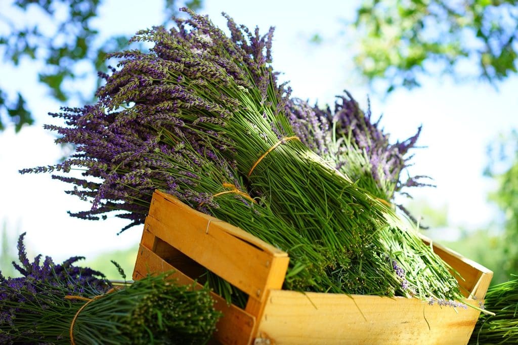 Best Ways To Manage Stress During Menopause