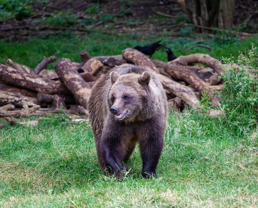 Buyers Guide To Environmentally-friendly Products For Healthier Living