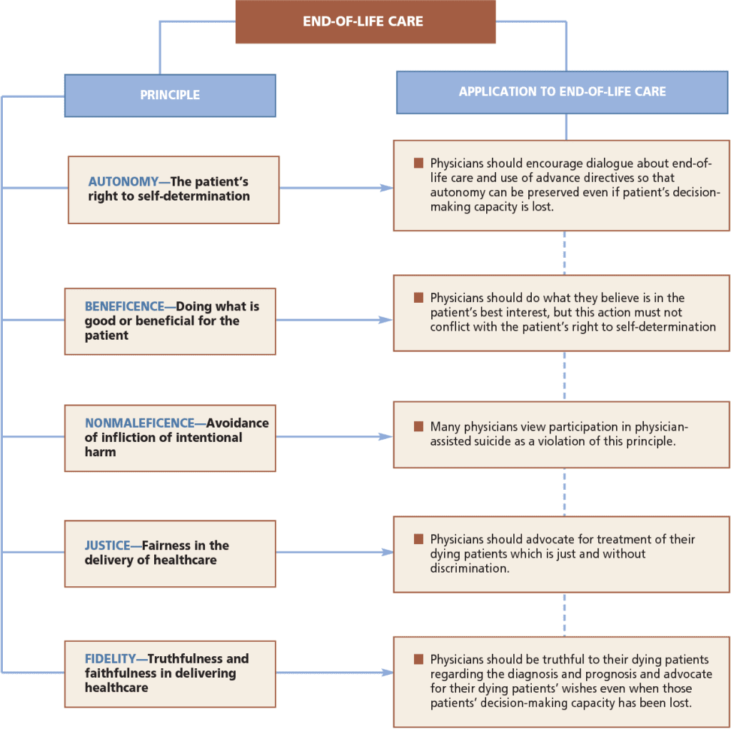 Ethical Considerations In Advocating For End-of-Life Care Policy