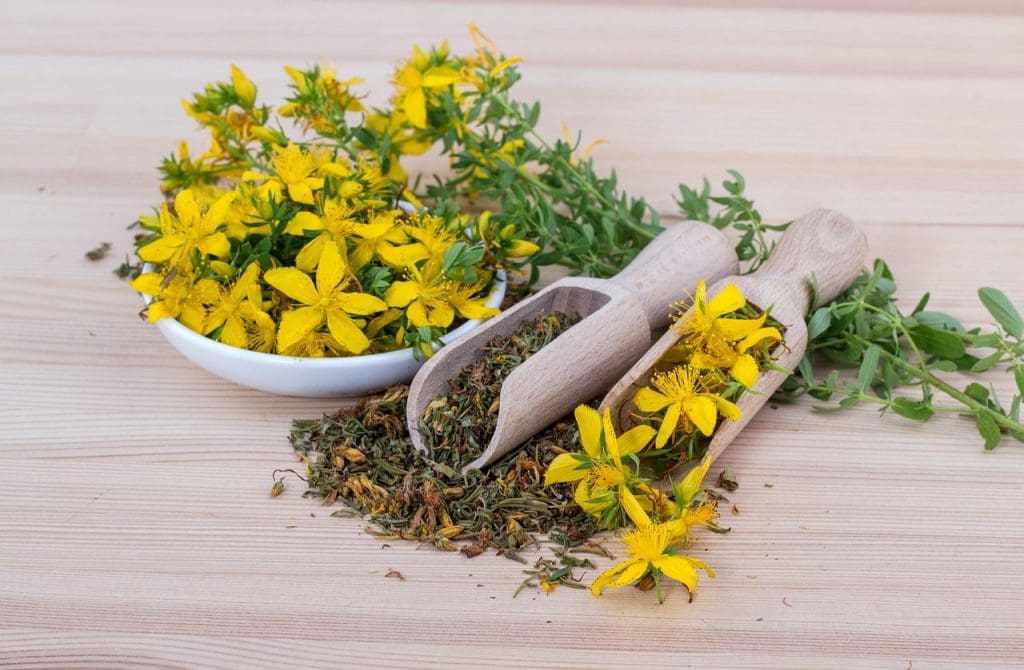 Exploring Naturopathic Medicine And Its Philosophy