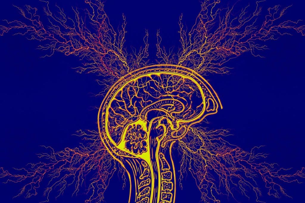 Holistic Approaches To Managing Neurological Disorders And Brain Health