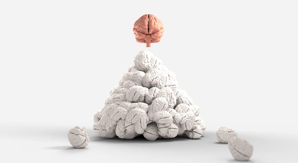 Holistic Approaches To Managing Neurological Disorders And Brain Health