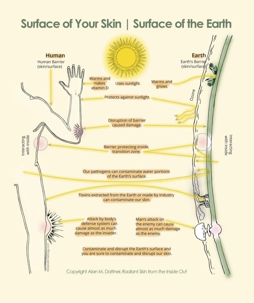 Holistic Approaches To Managing Skin Health And Dermatology Holistic Approaches To Managing Skin Health And Dermatology