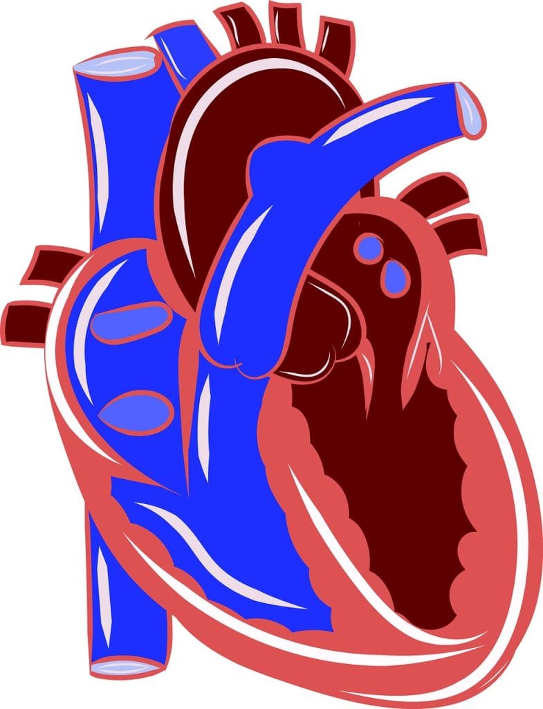 How To Cope With Chronic Heart Conditions How To Cope With Chronic Heart Conditions