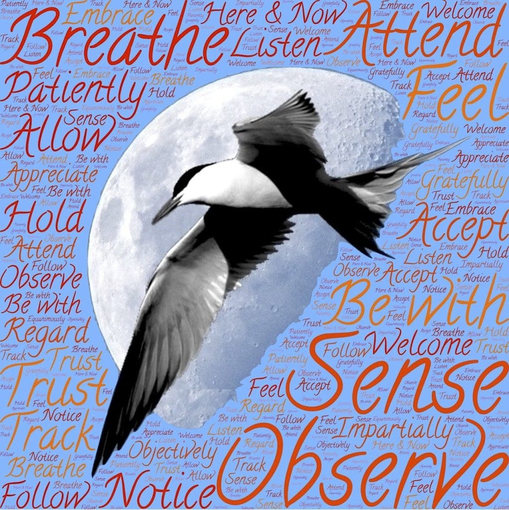 How To Find Balance And Harmony In Your Life For Long-term Well-being