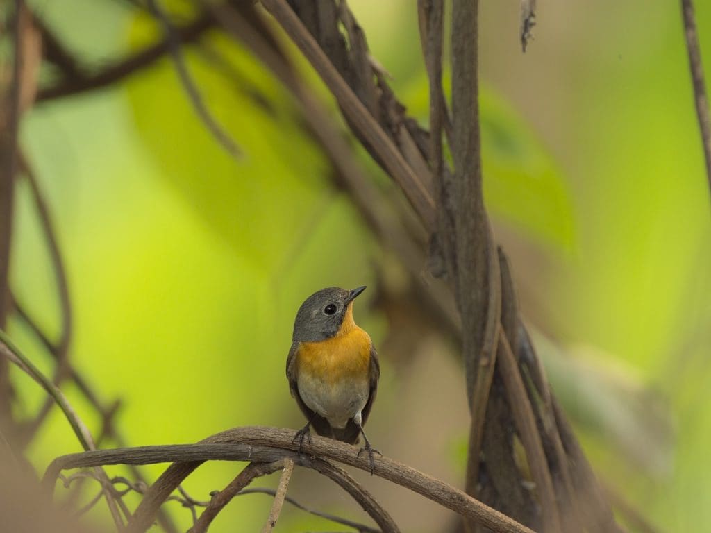 How To Improve Overall Well-being As A Man