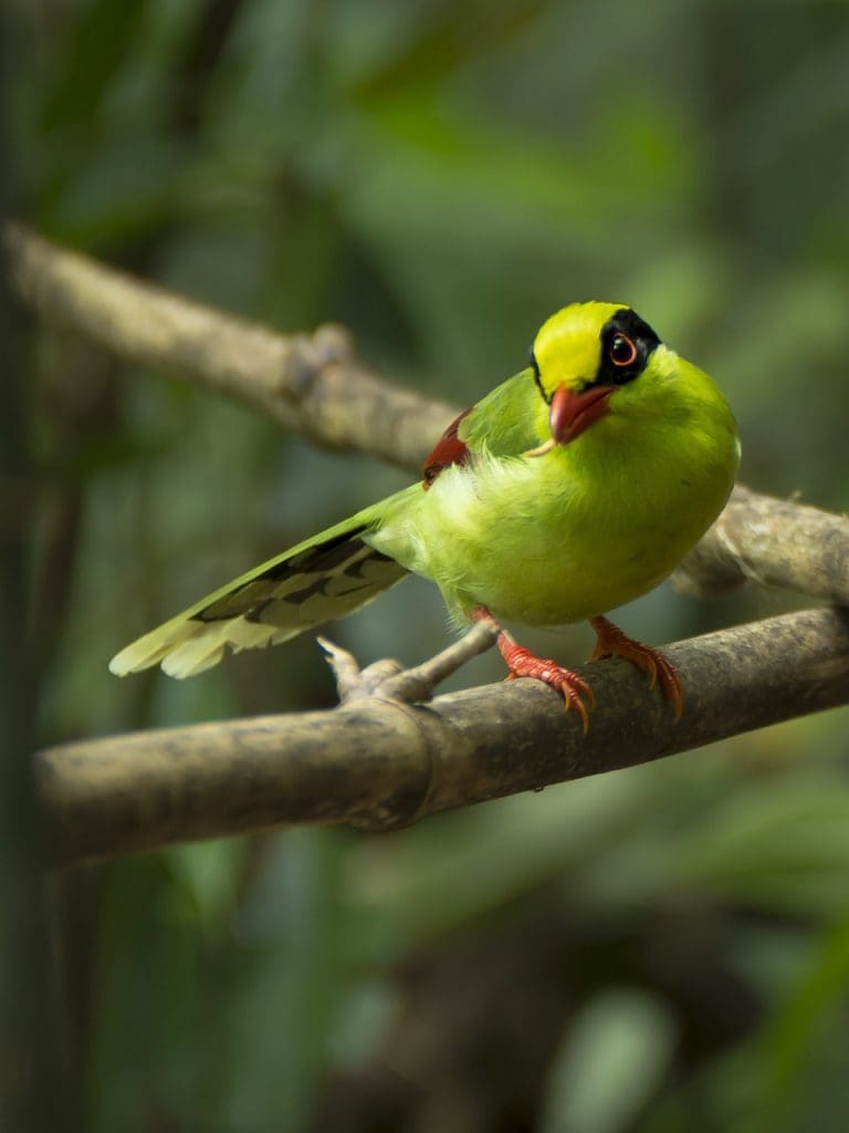 How To Improve Overall Well-being As A Man