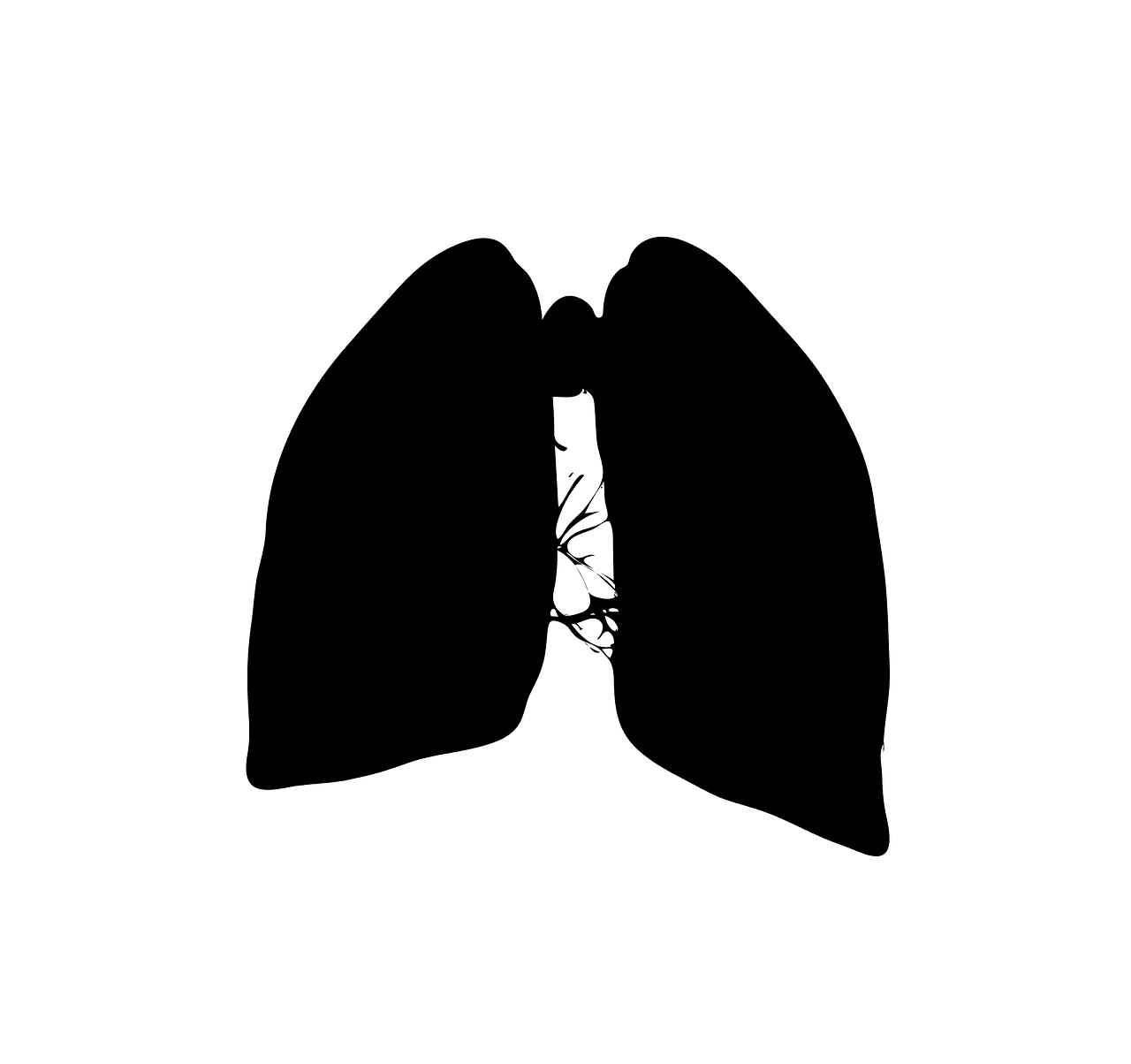 How To Improve Your Digestive Health