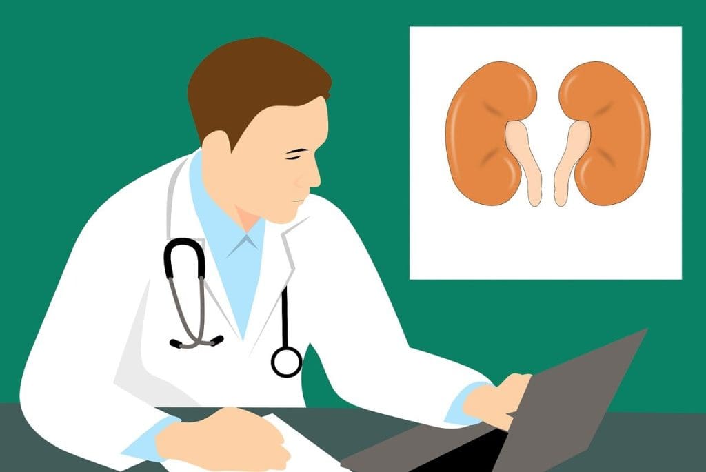 How To Manage Chronic Kidney Disease