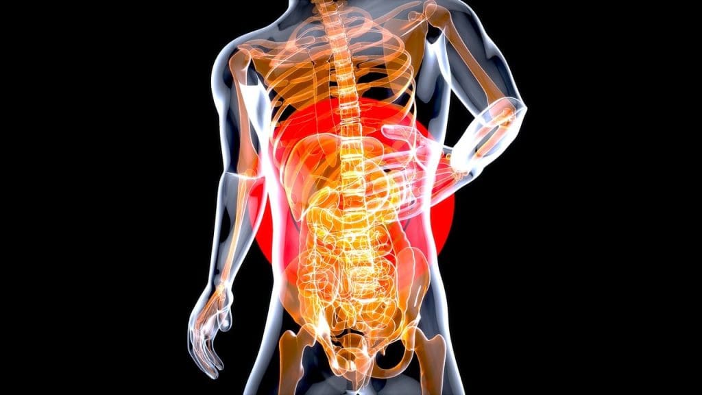 How To Manage Digestive Issues As A Woman How To Manage Digestive Issues As A Woman