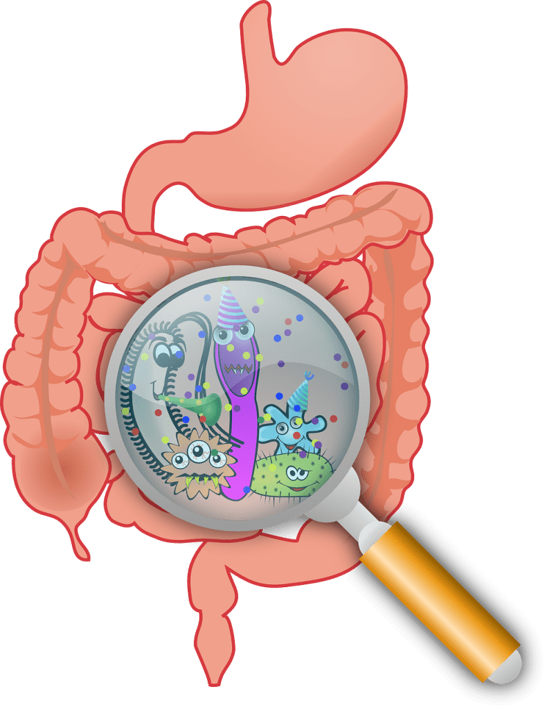 How To Manage Digestive Issues As A Woman How To Manage Digestive Issues As A Woman