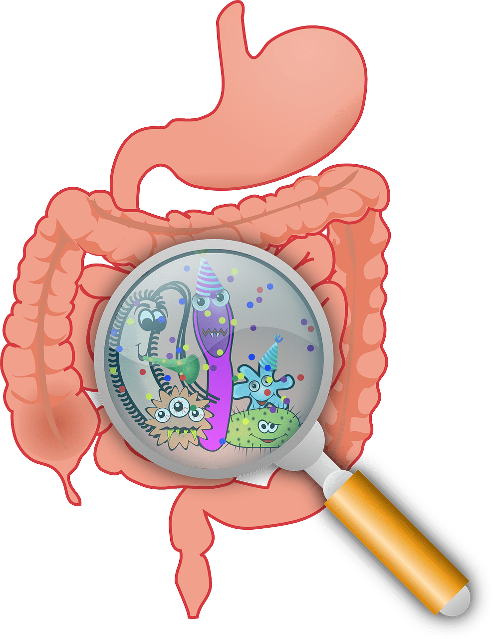 How To Manage Digestive Issues As A Woman