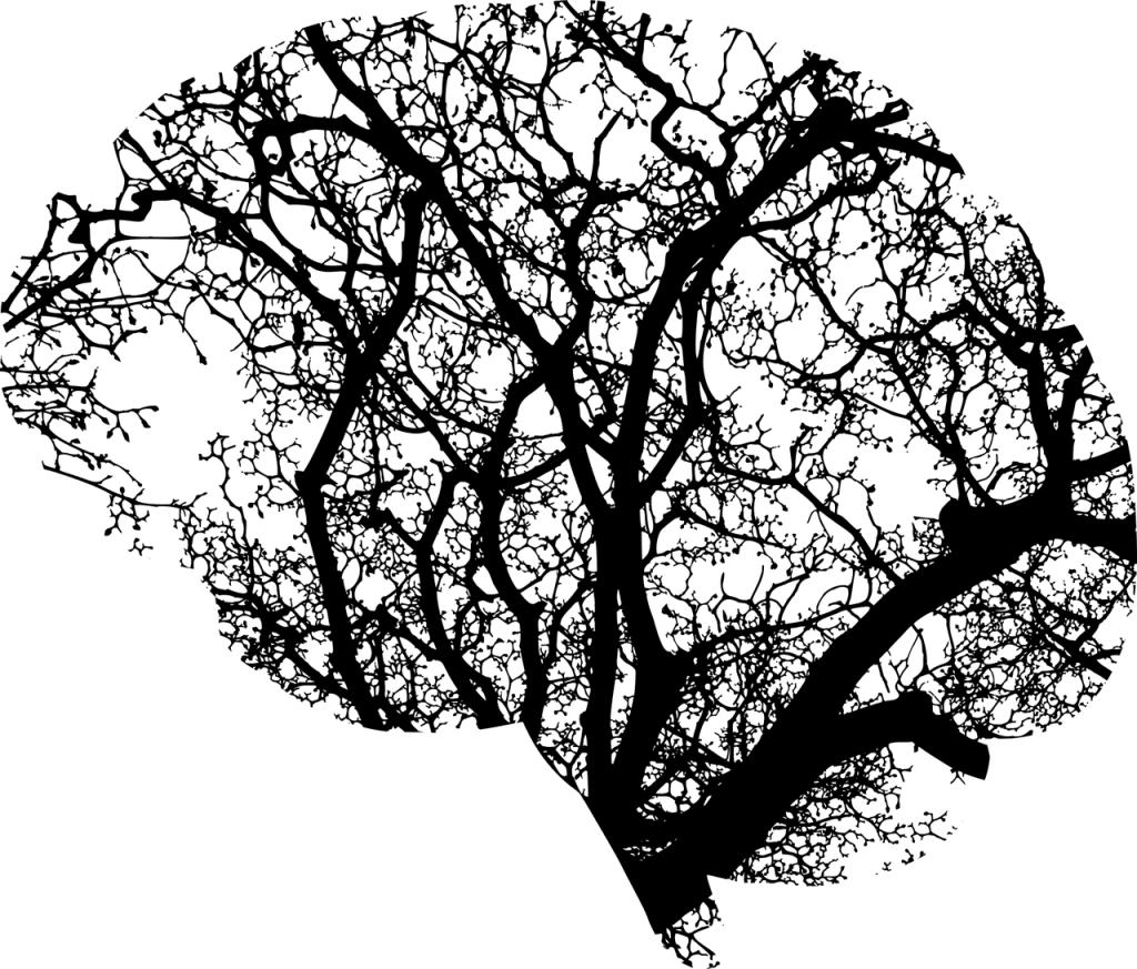 Maintaining Mental Wellness During Difficult Times