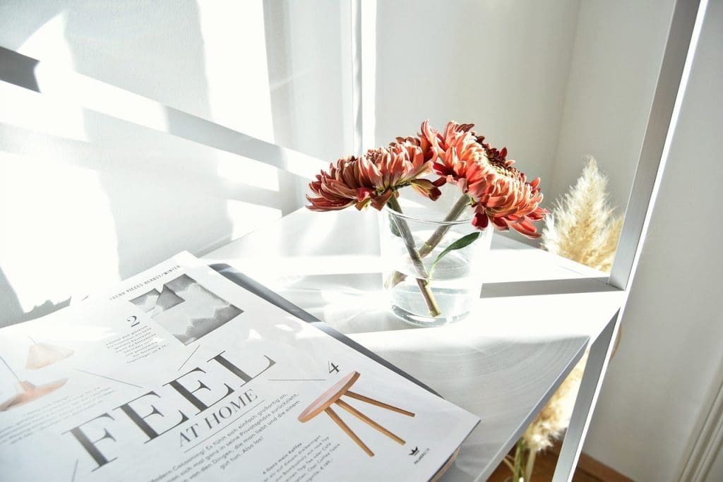 Most Popular Diets For Gut Health