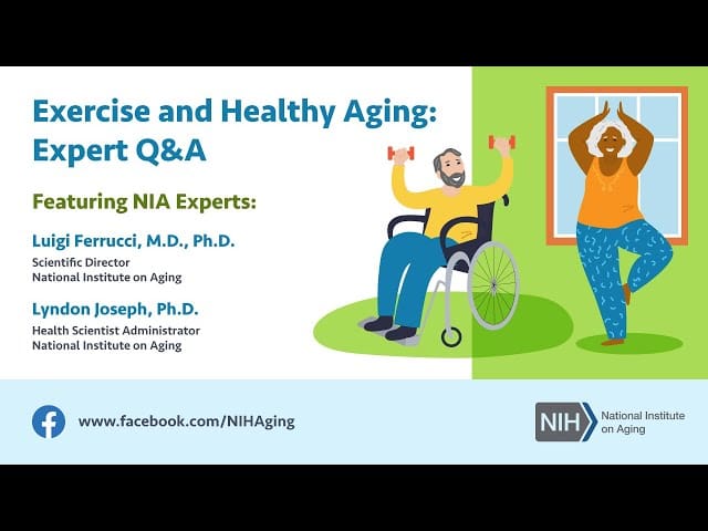 Most Popular Exercises For Healthy Aging