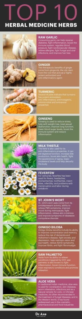 Most Popular Herbal Supplements For Women