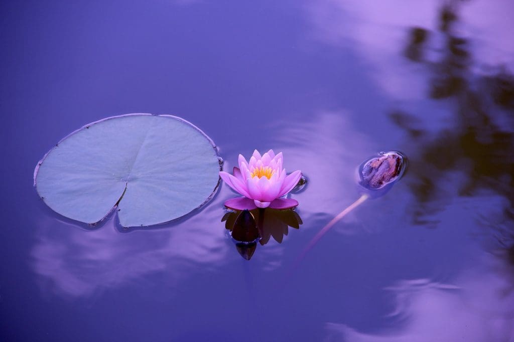 The Benefits Of Meditation And Mindfulness For Mens Wellness