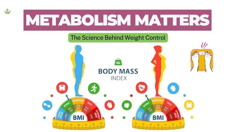 The Impact Of Exercise On Metabolism And Weight Management The Impact Of Exercise On Metabolism And Weight Management