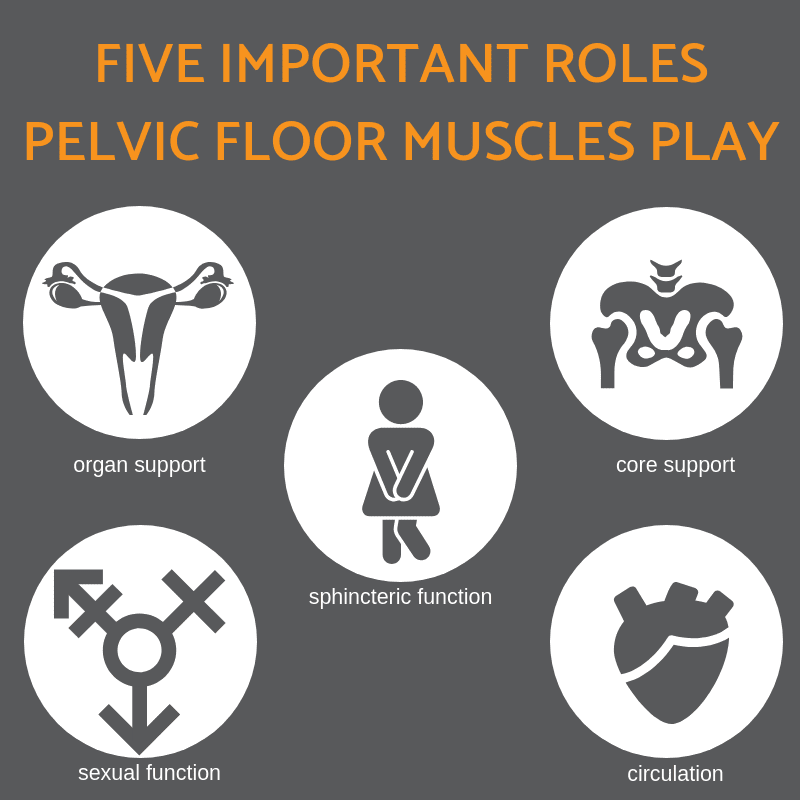 The Importance Of Pelvic Health For Women
