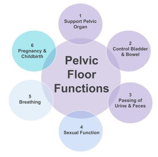 The Importance Of Pelvic Health For Women
