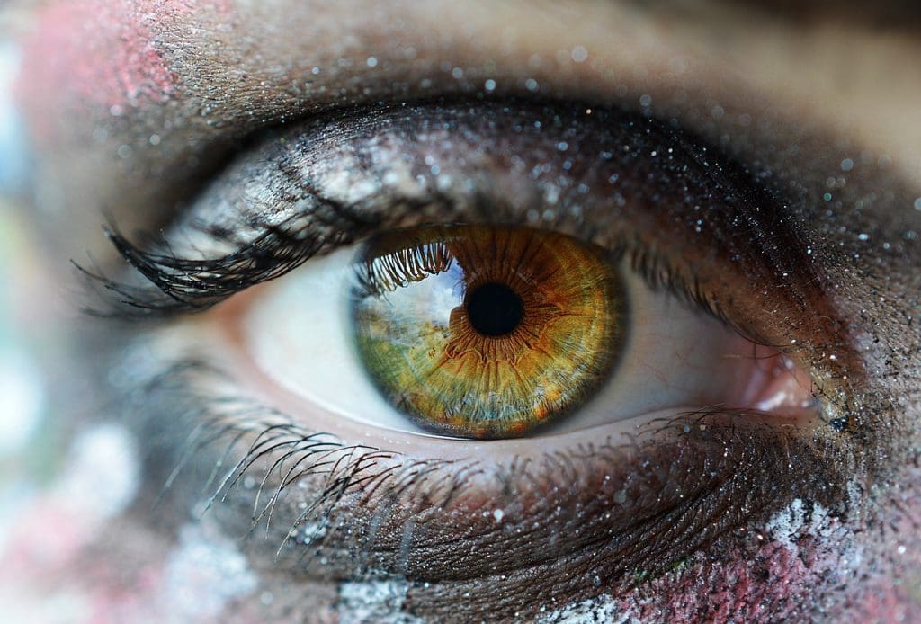 The Importance Of Regular Vision Check-ups For Eye Health