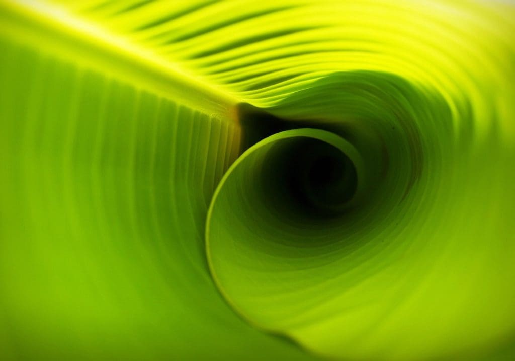 The Role Of Healthcare Policy In Addressing Environmental Health Issues