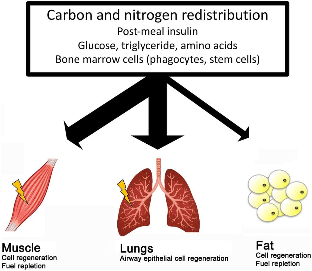 The Science Behind Fat Burning Workouts