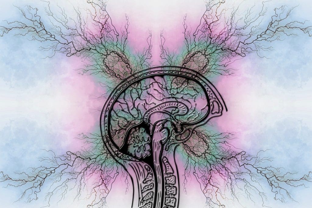 Tips For Living Well With Epilepsy: A Beginners Guide
