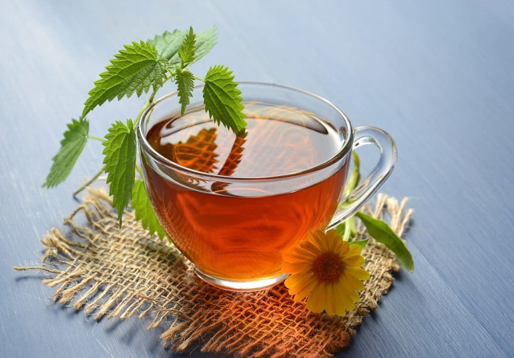 Top 10 Herbs For Natural Healing