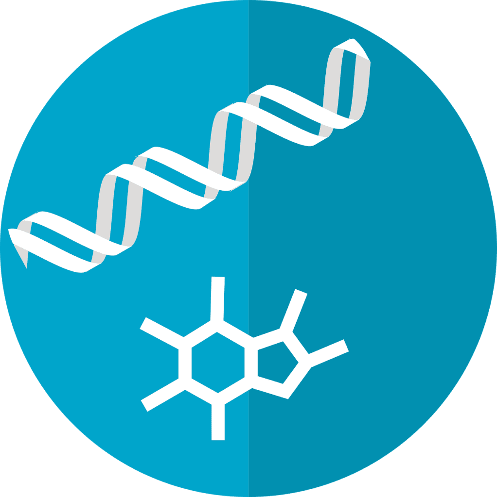 Top Ways To Boost Metabolism Through Diet And Exercise