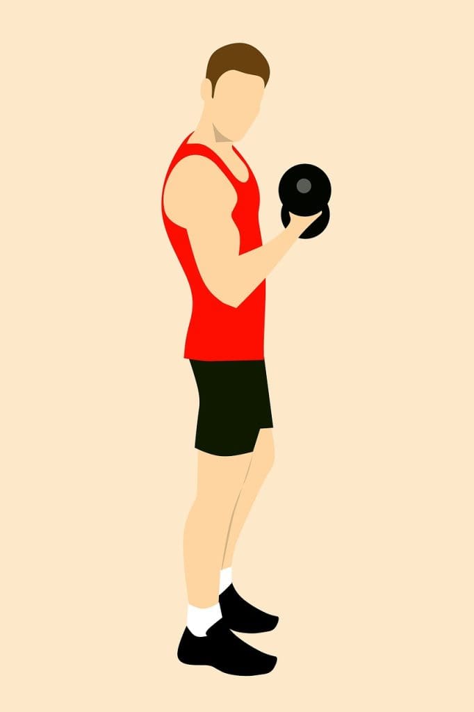 Top Ways To Build Muscle Mass For Men