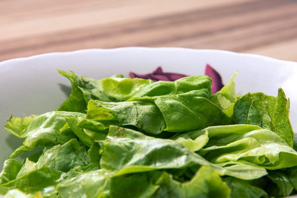 Top Ways To Create A Satisfying And Filling Vegetarian Meal Plan